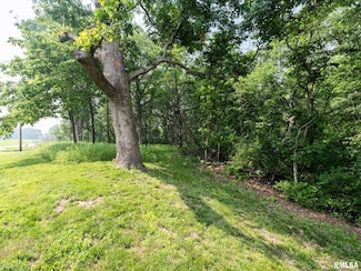 3041 Zion Oaks Rd, Groveland Township, IL 61554