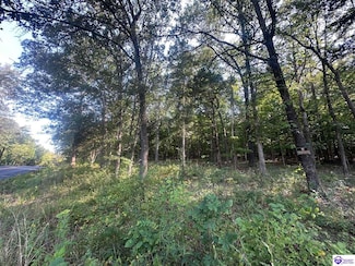 13600 Grayson Springs Rd Unit Lots 4&5, Wax, KY 42726