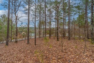 335 Long Cove Trail, Salem, SC 29676