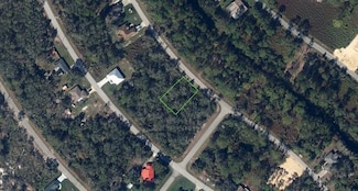 357 Coolidge Ave, Lake Placid, FL 33852