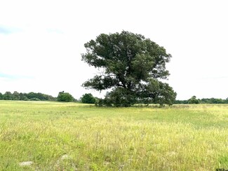 TBD An County Road 336, Palestine, TX 75801