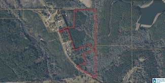 0 Sid Bush Rd, Clayton, AL 36016