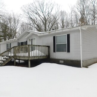 475 E 88th St, Newaygo, MI 49337