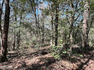 TBD W Nottingham Rd, Bonifay, FL 32425