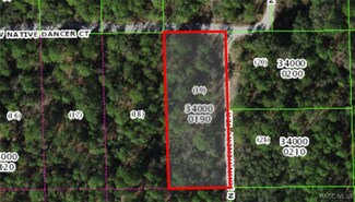 7820 W Native Dancer Ct, Crystal River, FL 34428