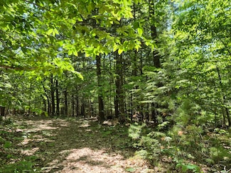 Lot 36D Foster Ln, Belgrade, ME 04918