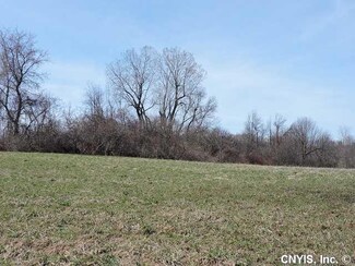 0 Jericho Rd Unit S329657, Brutus, NY 13166