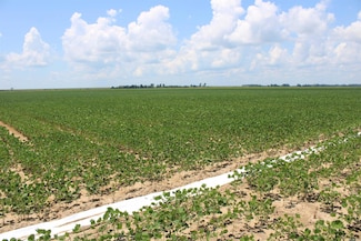 000 Phillips County 470, Marvell, AR 72366