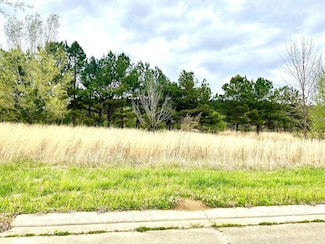 0 Bryan Lot 6 St Unit 22-1104, New Albany, MS 38652