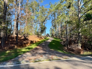 0 Brooksie Thompson Rd, Bath Springs, TN 38311