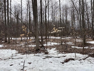 0 Coyote Trail Unit 201833879, Frederic, MI 49733