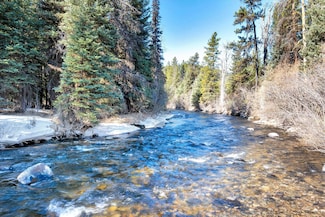 0 Ln, Sula, MT 59871