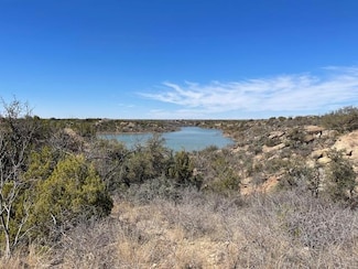 52 Fagan Rd, Justiceburg, TX 79330