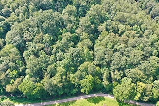 0002 Broomstick Rd, Big Bend, WV 26136