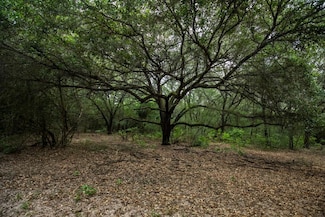 Tbd County Rd 90 E, Hallettsville, TX 77964