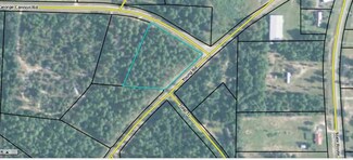 0 Young Rd Unit 211723, Box Springs, GA 31801