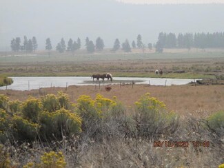 Lot 2 Drews Ranch Rd, Sprague River, OR 97639