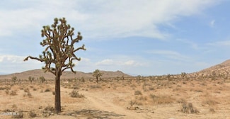 0 Vic 196th St E and Ave J4, Lancaster, CA 93535