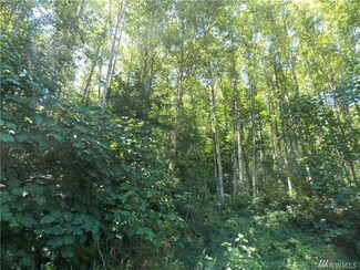 0 Short Rd Unit 1331738, Morton, WA 98356