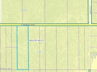 0 Palmdale Blvd Pav Vic 1 Unit 25007451, Black Butte, CA 93591