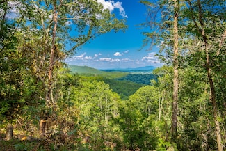 0 Clearview Dr Unit RTC2683559, Ringgold, GA 30736
