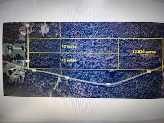 0 An County Road 353, Palestine, TX 75801