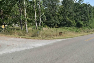 0 Bethesda Purdy Rd Unit 10180997, Selmer, TN 38375