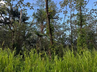 0 Molokai Rd Unit 714918, Pahoa, HI 96778