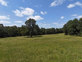 1977 Old Tracy Rd, Mountain Home, AR 72653