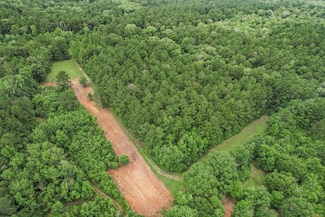 18222 Stoney Point Burch Rd, Greenwel Springs, LA 70739