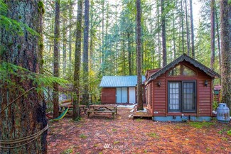 181 6 Chanterelle Dr, Deming, WA 98244