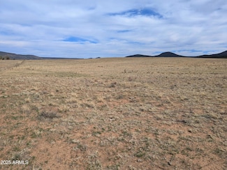 349 Zachariae Ranch Rd Unit 1, Young, AZ 85554