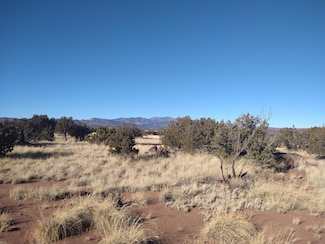 0 Forest Service Rd 422 Unit 1078217, Bernardo, NM 87006