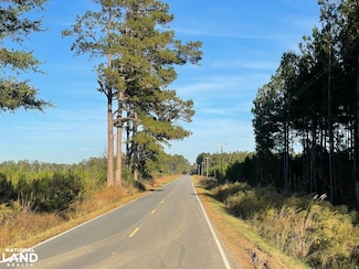 0 Schoolhouse Dr, Hemingway, SC 29554