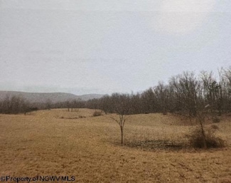 3176 Germany Valley Rd, Riverton, WV 26814