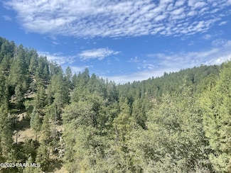 334x E Sheldon Rd, Prescott, AZ 86303