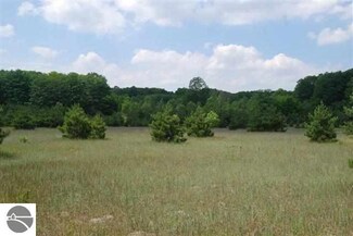 0000 Shively Rd SE, Fife Lake, MI 49633