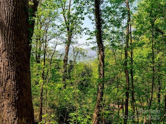 147 Sidney Lanier Dr, Lake Lure, NC 28746