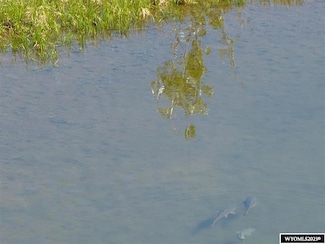 LOT 13 Peak View Ln, Buffalo, WY 82834