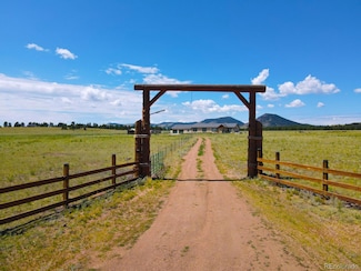 1925 Doe Valley Rd, Guffey, CO 80820