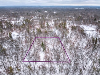 V/L W Bristol St, Webber Township, MI 49304