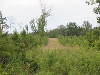 Land Fill Rd, Newton, MS 39345