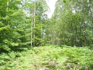 0 Caribou Trail Unit 3.76 acres 298433, Frederic, MI 49733
