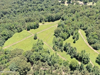 2150 Wilkins Chapel Rd, Mount Pleasant, MS 38635