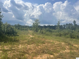 000 Turkey Creek Rd, Marion, LA 71260