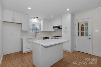 1100 Nancy Dr, Charlotte, NC 28211