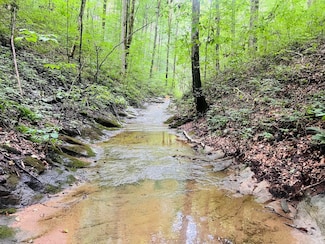 81 Shearer Cemetery Rd Unit Tract 7, Columbia, KY 42728