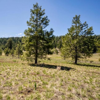 Lot 27 To Be Determined Unit 27, McCall, ID 83638