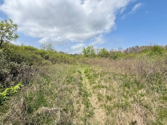 0 Bunkerhill Rd Unit LotWP001 23718516, Pleasant Lake, MI 49272