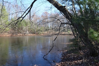 0 Sparta Highway 31 64+ - Acres, Crossville, TN 38555